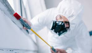 Best Real Estate Pest Inspections  in Gonzalez, FL